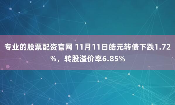 专业的股票配资官网 11月11日皓元转债下跌1.72%，转股溢价率6.85%